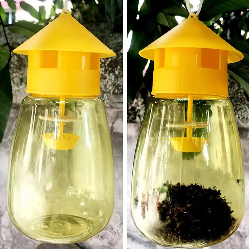 Fruit Fly Trap – Orchard & Garden Insect Catcher | Pest Control