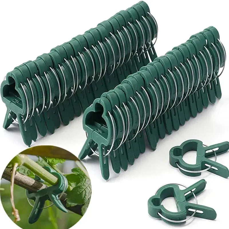 Plant Fixed Clips Reusable Garden Greenhouse Bracket for Fixed Plants Vine Flower Seedling Tomatoes Support Garden Supplies Oasis Select