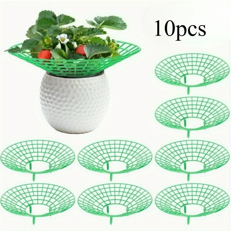 5/10pcs Strawberry Plant Supports with Three Sturdy Legs Provide Protection for Strawberries Against Mold, Rot, and Dirt Oasis Select 10pcs