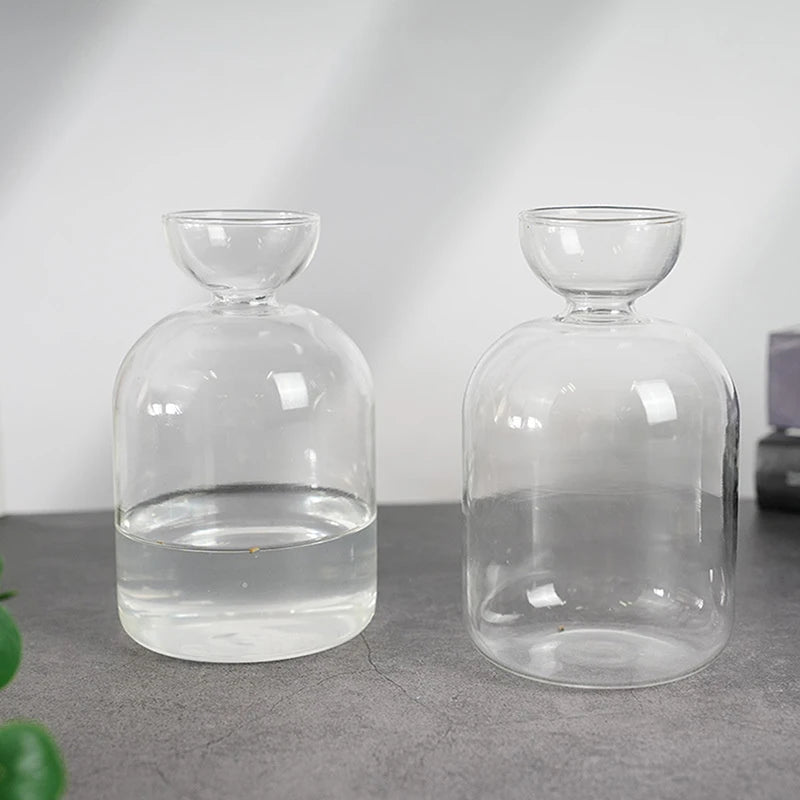 Avocado Seed Starter Vase Transparent Glass Vase Vase For Growing Plant Glass Seed Growing Kit For Gardening Lovers Oasis Select