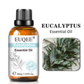 EUQEE 30ml Aromatherapy Essential Oil | Diffuser & Reed Oil