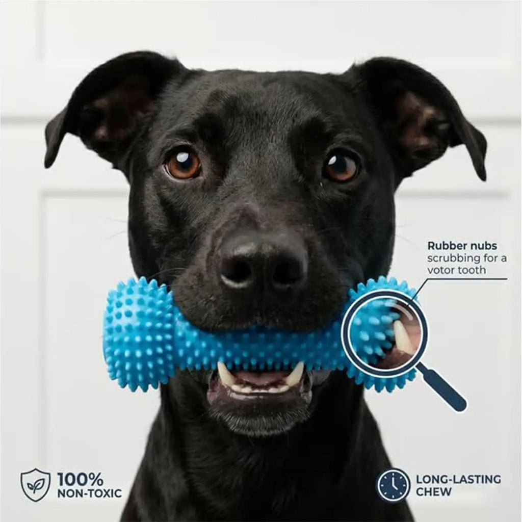 Dog Chew Toy Double-Action Rubber Training Chewer Sticks Dog Teether Cleaning Toy for Puppy Small Medium Large Breeds Tooth Care Oasis Select