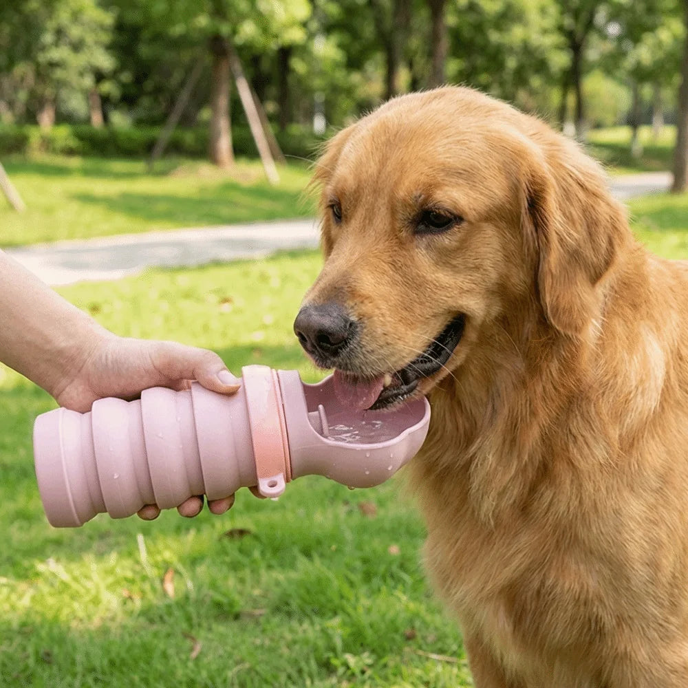 Silicone Collapsible Dog Water Bottle – Leak-Proof Travel Cup