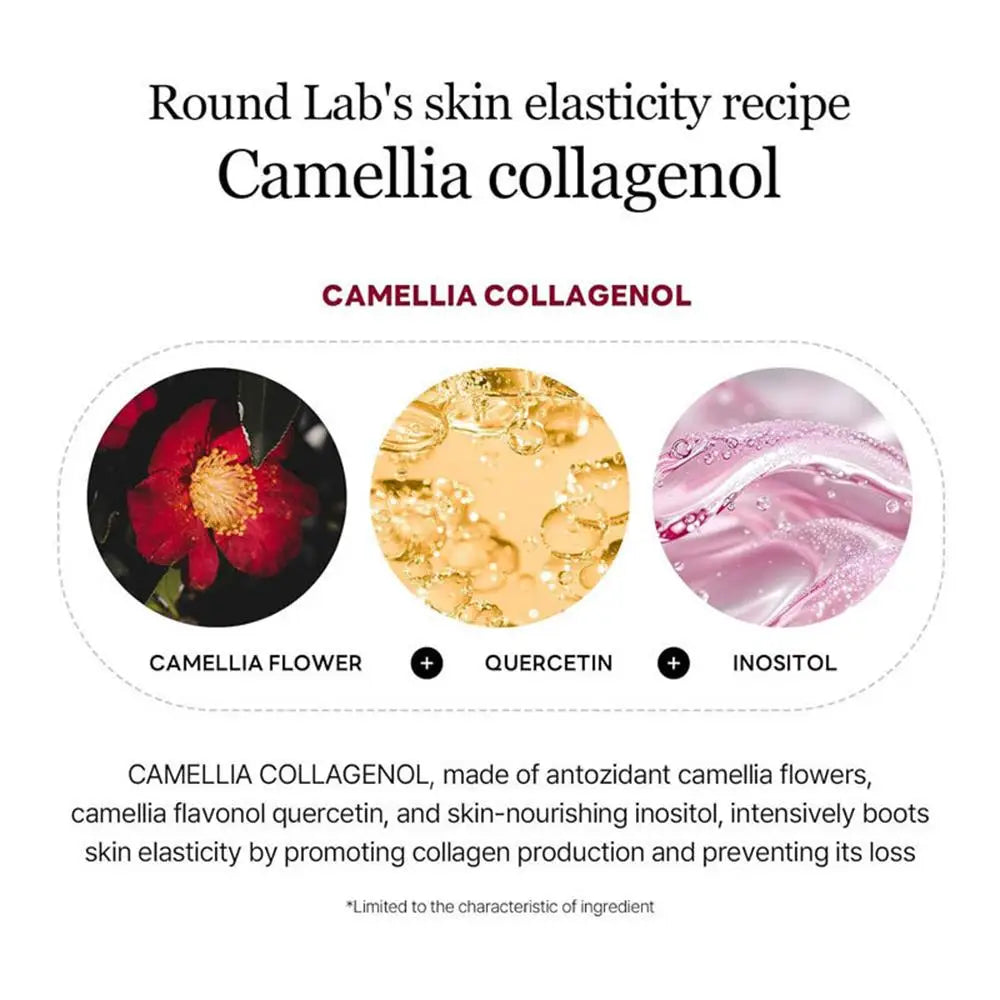V-Lift Collagen Face Sculpting Mask – Firming & Contouring Band Face Sculpting Mask Oasis Select