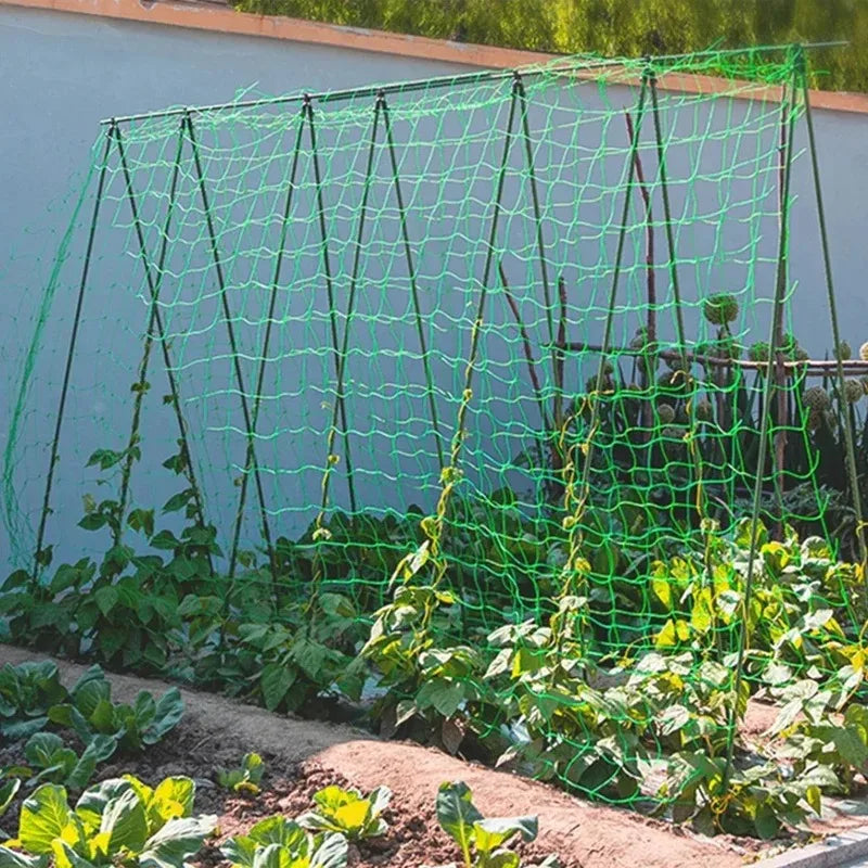 Plant Climbing Net Green Gardening Grid Cucumber Hanging Gourd Climbing Net Bracket Net Wind Resistance Net Oasis Select