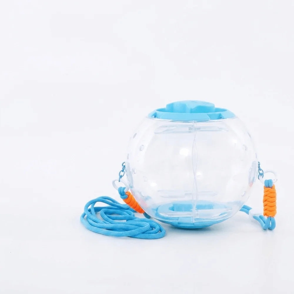 Transparent Hamster Travel Cage | Breathable & Escape-Proof