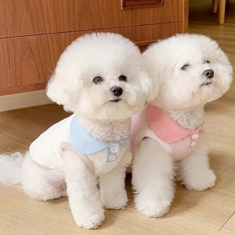Autumn Pet Dog Polo Shirt Breathable Dog Clothes Fashion Puppy Vest Cute Solid Cat Shirt Soft Pet Costumes Macaroon Color Oasis Select
