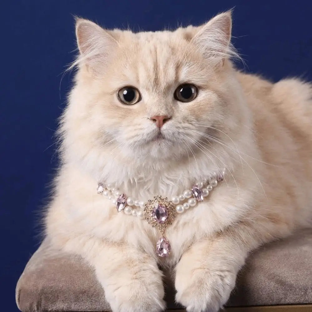 Double Layer Faux Pearl Pet Collar Necklace | Adjustable Luxury