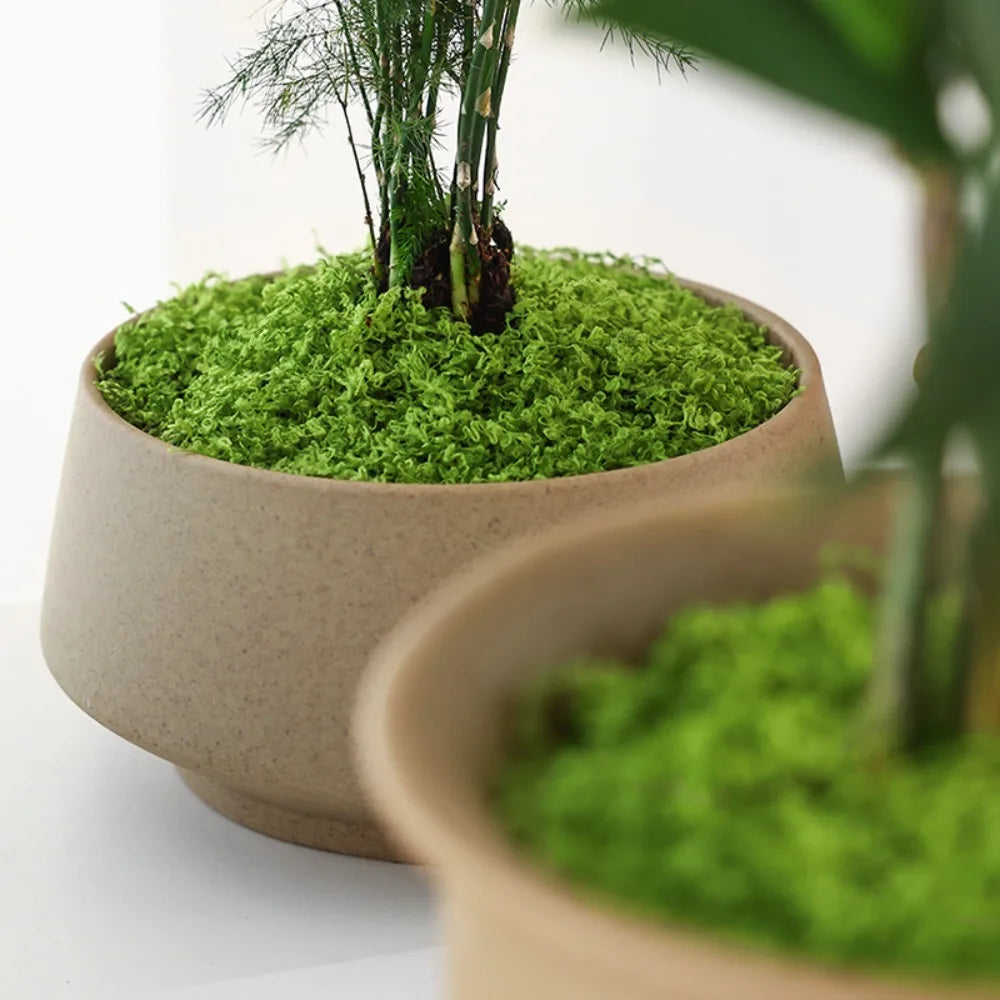 Artificial Filamentous Moss – DIY Miniature Landscape & Decor Artificial Moss Oasis Select