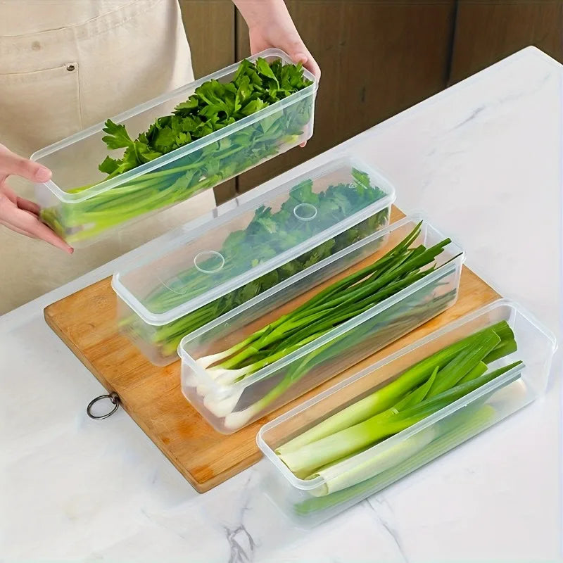 2/4pcs Long Rectangular Food Storage Containers, Plastic Reusable Refrigerator Organizer Boxes for Herbs, Vegetables Oasis Select 4pcs