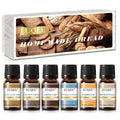 EUQEE 10ml Fragrance Oil – Reed Diffuser, Candle & Aromatherapy
