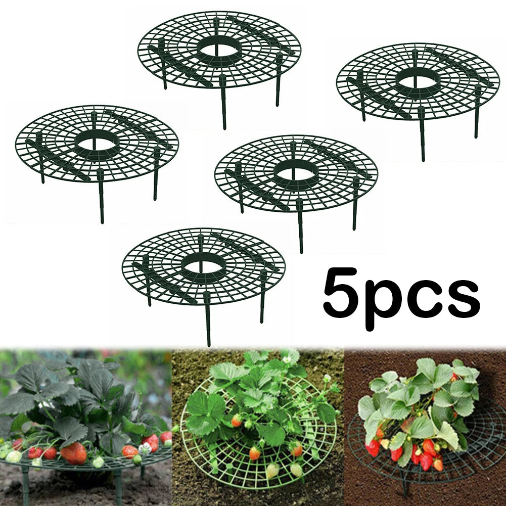 Strawberry Supports Keeping Plant Fruit Stand Vegetable Growing Rack Garden Tools for Protecting Vines Avoid Ground Gardening Oasis Select