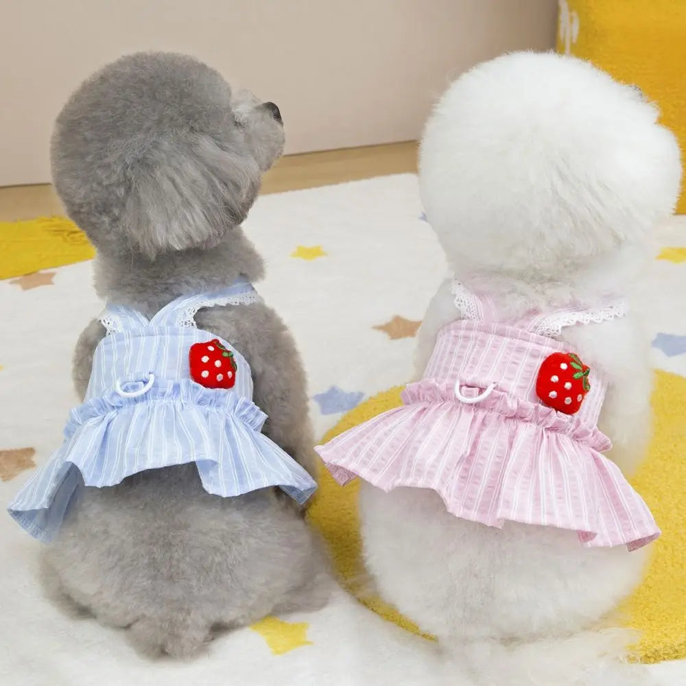 Cute Dog & Cat Princess Dress | Soft Breathable Summer Pet Skirt Pet Dress Oasis Select