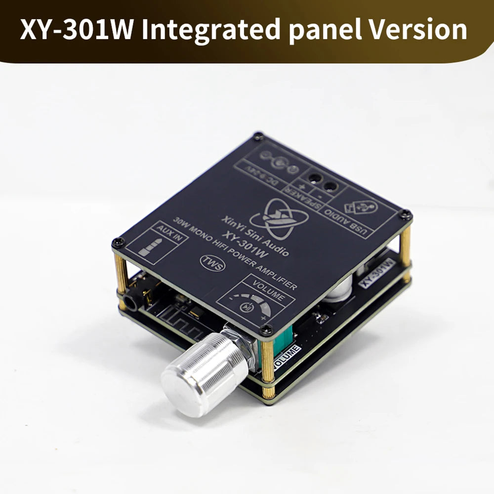 XY-301W Mono 30W Bluetooth Digital Audio Amplifier Board TWS True Wireless Box Connection Stereo DC 9-24V Oasis Select Type C