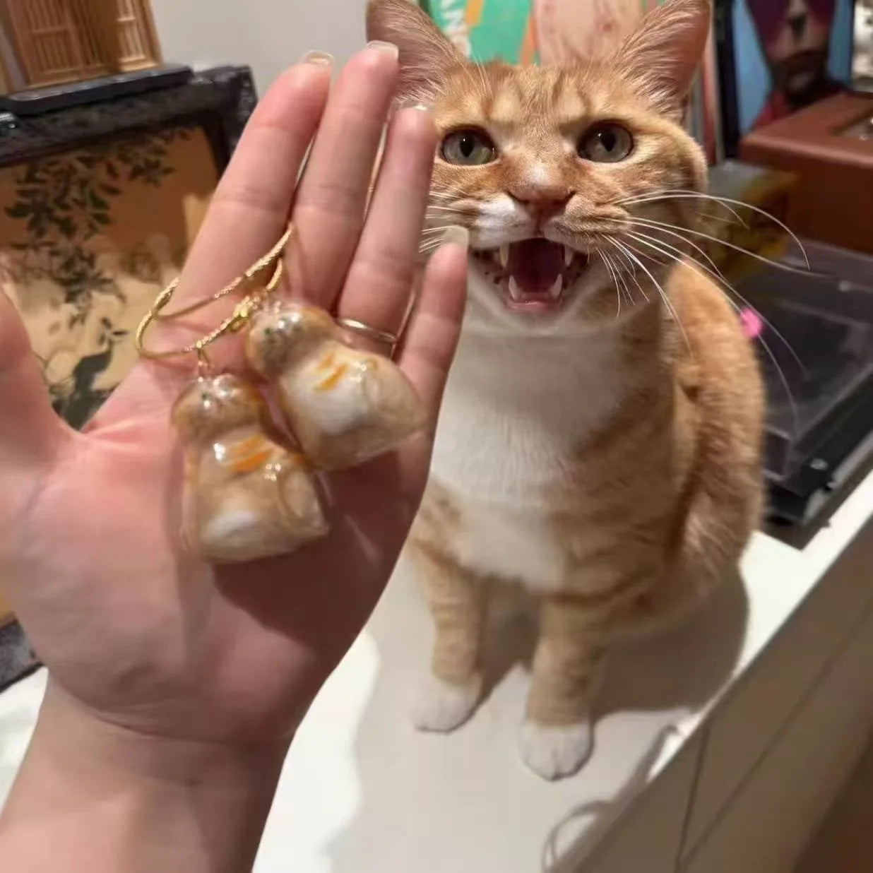 Transparent Cat and Dog Hair Storage Box, Pendant, Gashapon, Cat Hair Storage Capsule, Gashapon Bag, Keychain, Hanging Accessory Oasis Select