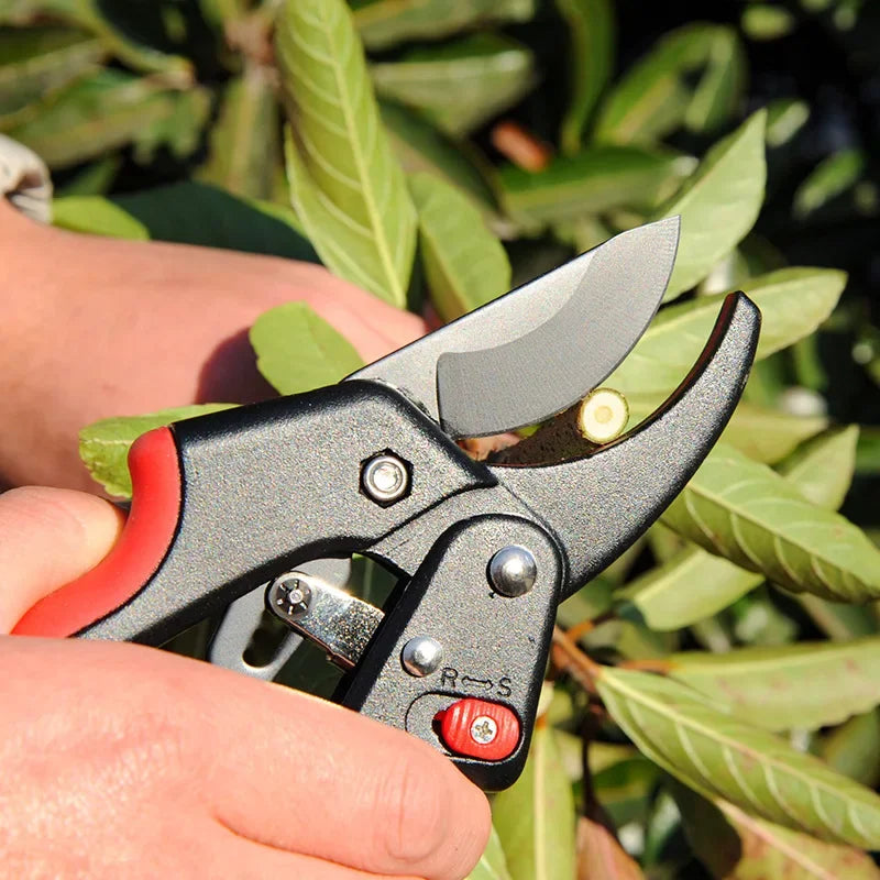 Adjustable Ratchet Skip Garden Pruning Shear SK5 Steel Cutter Labor-saving Gardening Plant Scissor Branch Pruner Trimmer Tools Oasis Select