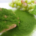 Artificial Grass Powder for Micro Landscape & Diorama – 35g Miniature Terrain Powder Oasis Select -4