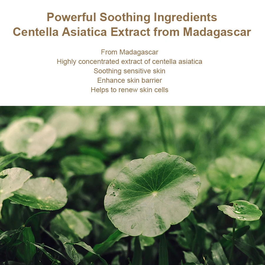 SANENDI Centella Asiatica Toner & Ampoule Essence Set Toner & Essence Set Oasis Select