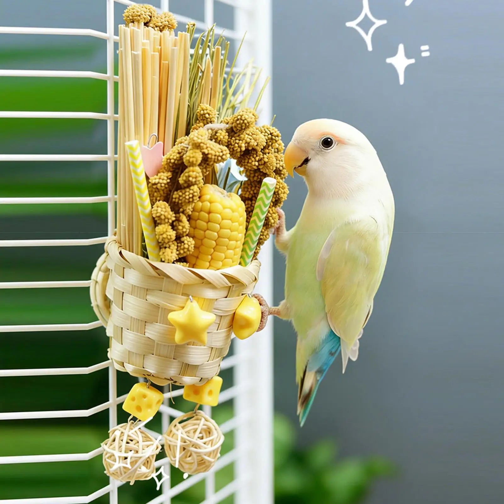 Bird Toys Foraging Chew Pet Supplies Colorful Husk Parrot Toys for Mental Play Training Indoor Finches Lovebirds African Grey Oasis Select