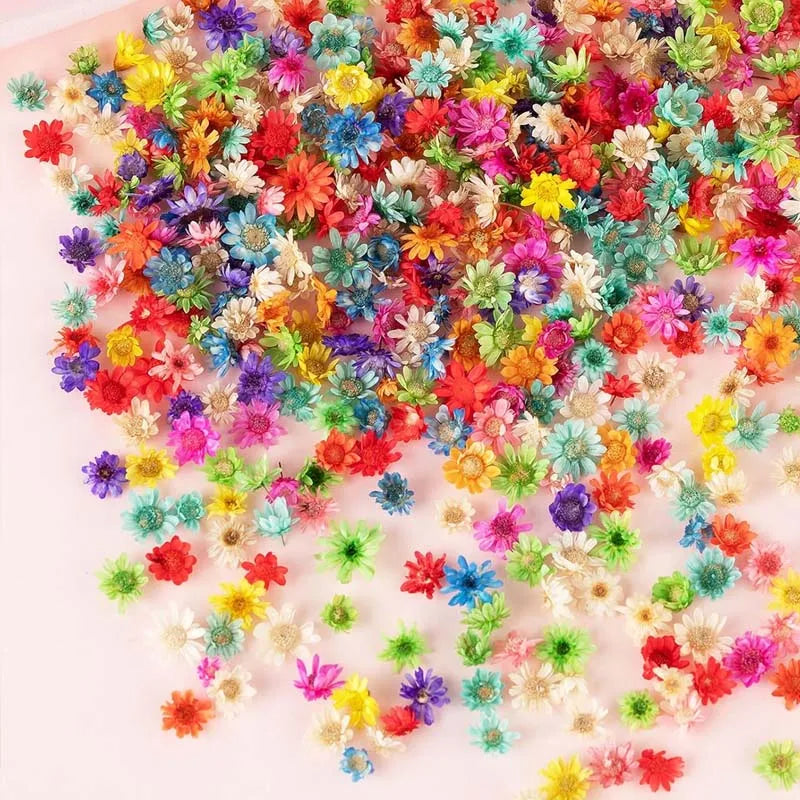 1 BOX Tiny Mini Dried Flowers Colorful Small Dried Gypsophila Flowers for Candle, Soap, Resin, Craft Makings Oasis Select