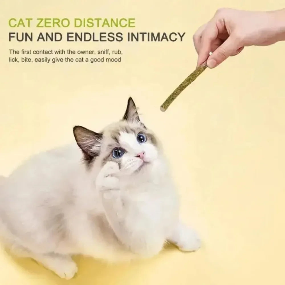 6pcs Natural Matatabi Cat Stick Mint Caught Bite Excited Rods Silvervine For Cat Teeth Cleaning Treating Pet Supply Cat Toys Oasis Select