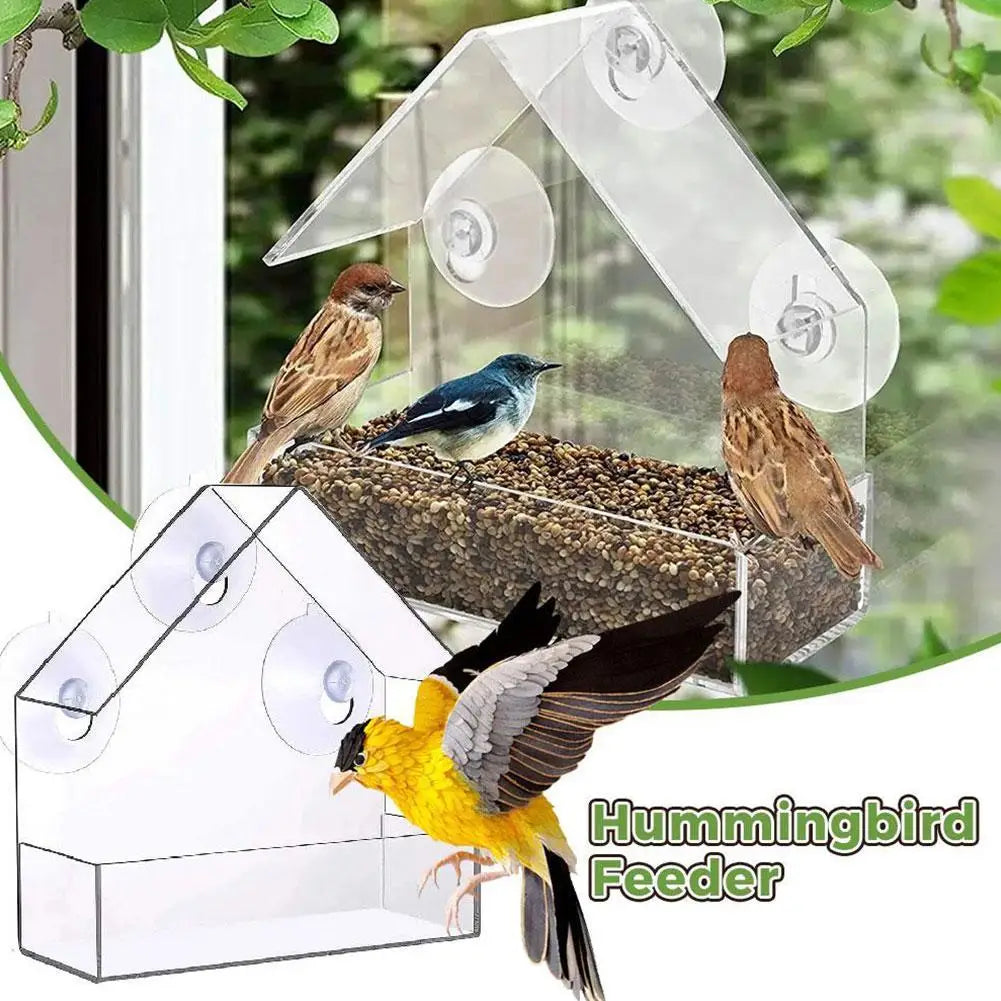 Acrylic Bird Feeder Clear Window Outside Hanging Bird Feeder House with Suction Cup for Garden Outdoor Backyard Wildlife Birding Oasis Select