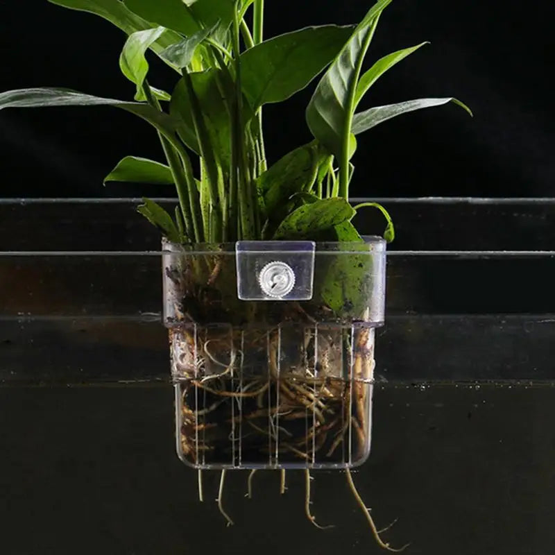 Fish Tank Plant Holder Aquarium Plant Basket with Hook Fish Tank Plant Cup Aquatic Plant Cup Aquarium Decorations Plants Pot Oasis Select