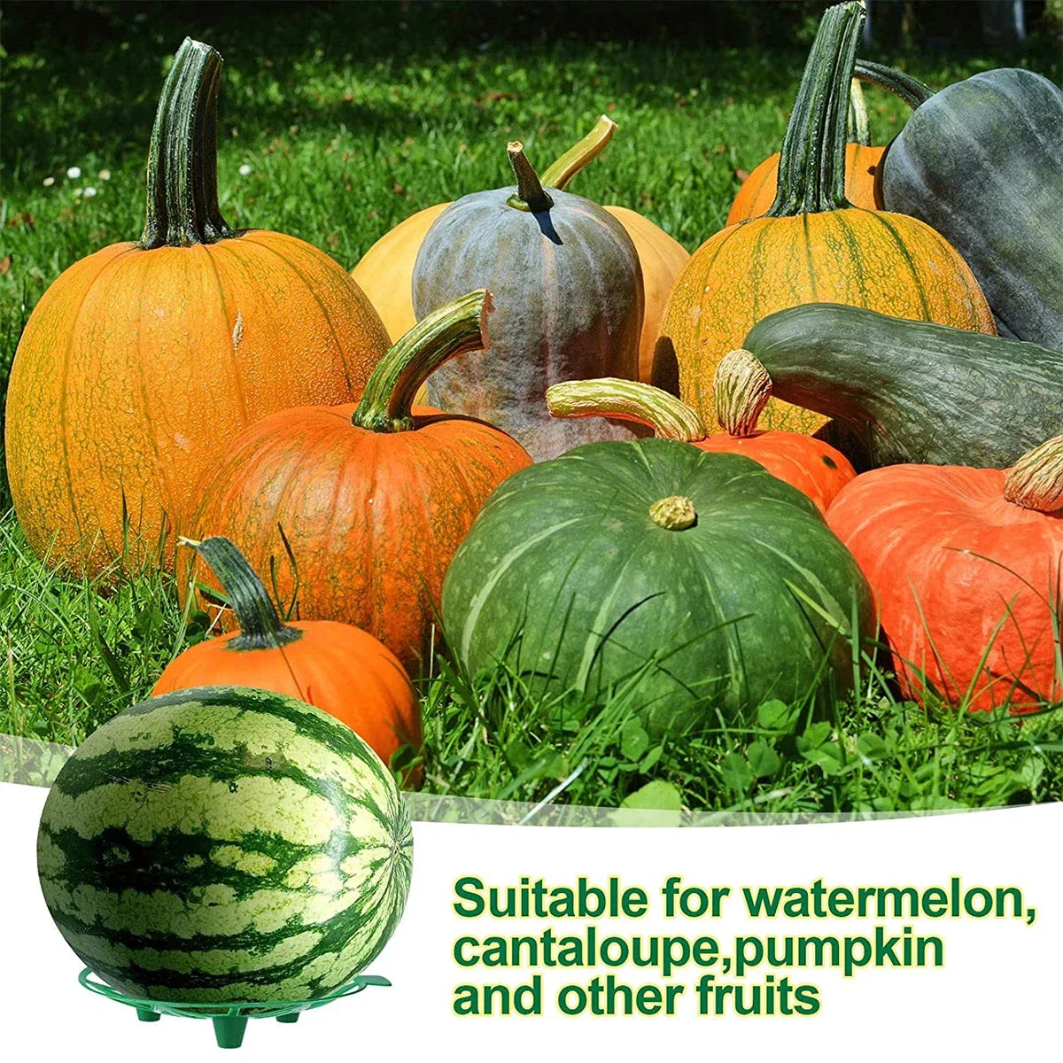10-Pack Melon Cradle Fruit Support Trays – Pumpkin & Garden