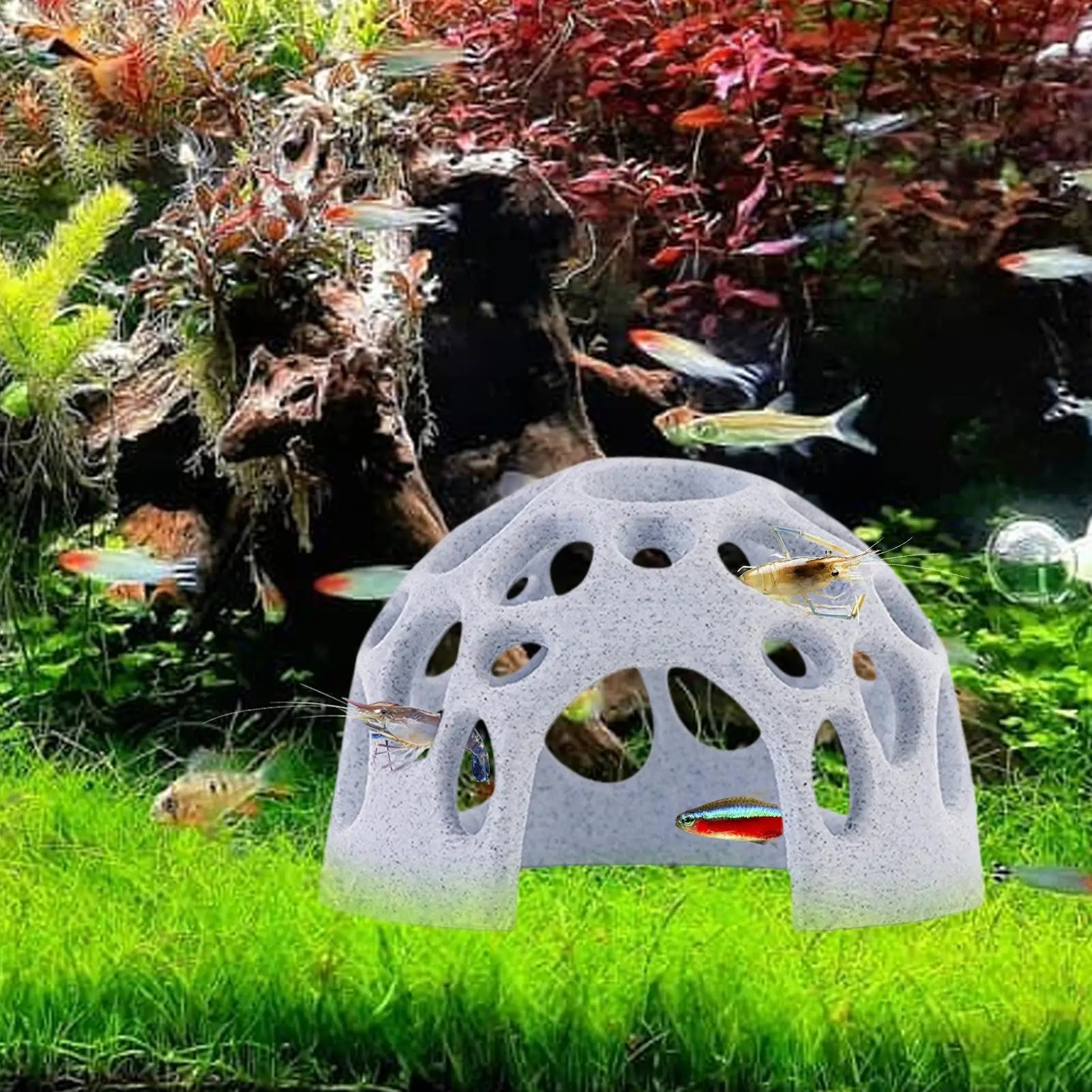 Aquarium Cave Fish Shrimps Shelter House Hides Aquarium Decoration Small Fish Hiding Tools Fish Resting Place Aquarium supplies Oasis Select