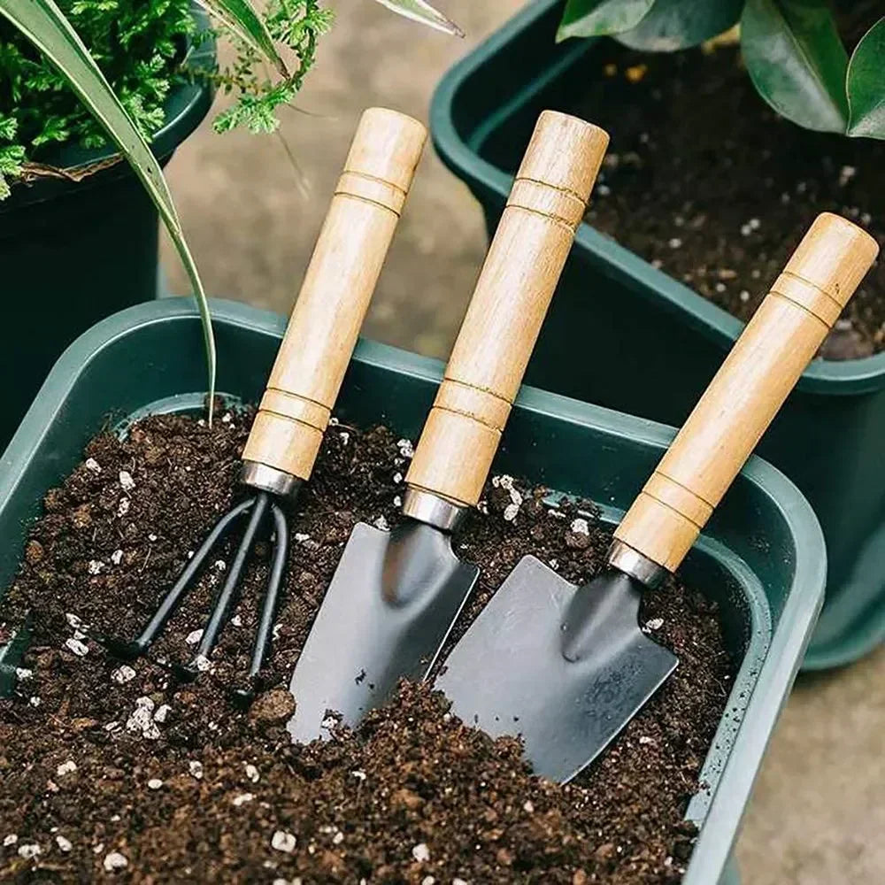 3 PCS Mini Garden Tool Set – Stainless Steel Indoor Kit for Succulents, Herbs & Potted Plants, Rust-Resistant & Compact Oasis Select