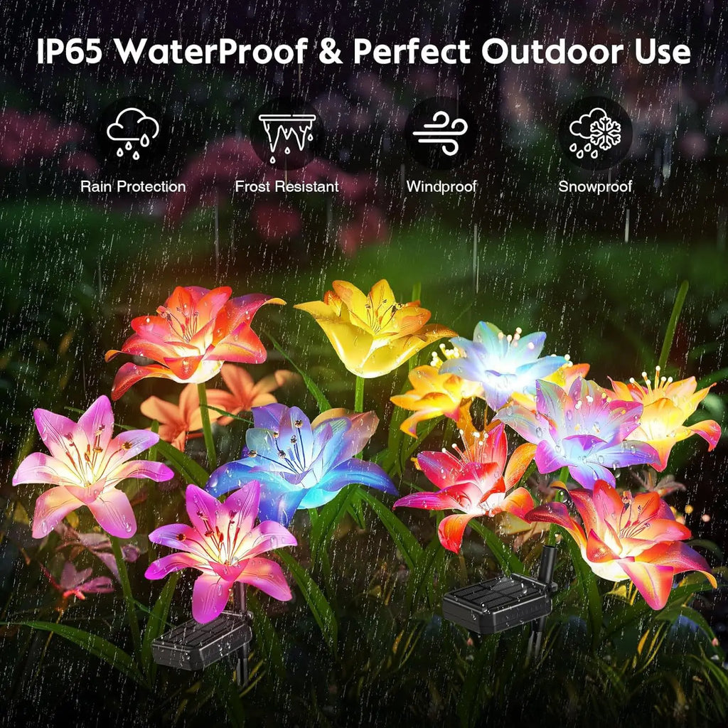 Solar Outdoor LED 4-head Dahlia Decorative Lamp, Garden and Lawn Lamp, Waterproof and No-wiring Lamp Oasis Select