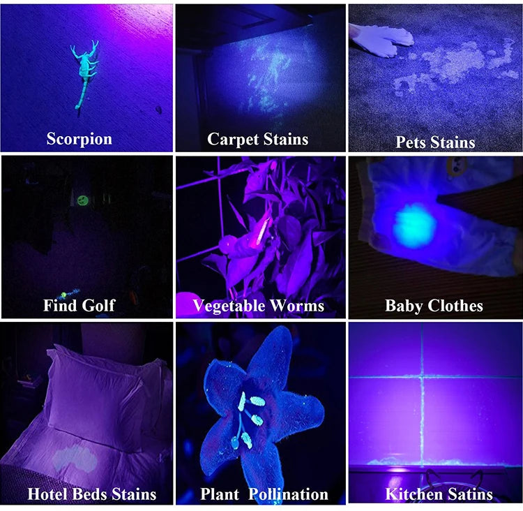 POCKETMAN 395nm UV Flashlight – 21/51/100 LED Black Light Torch