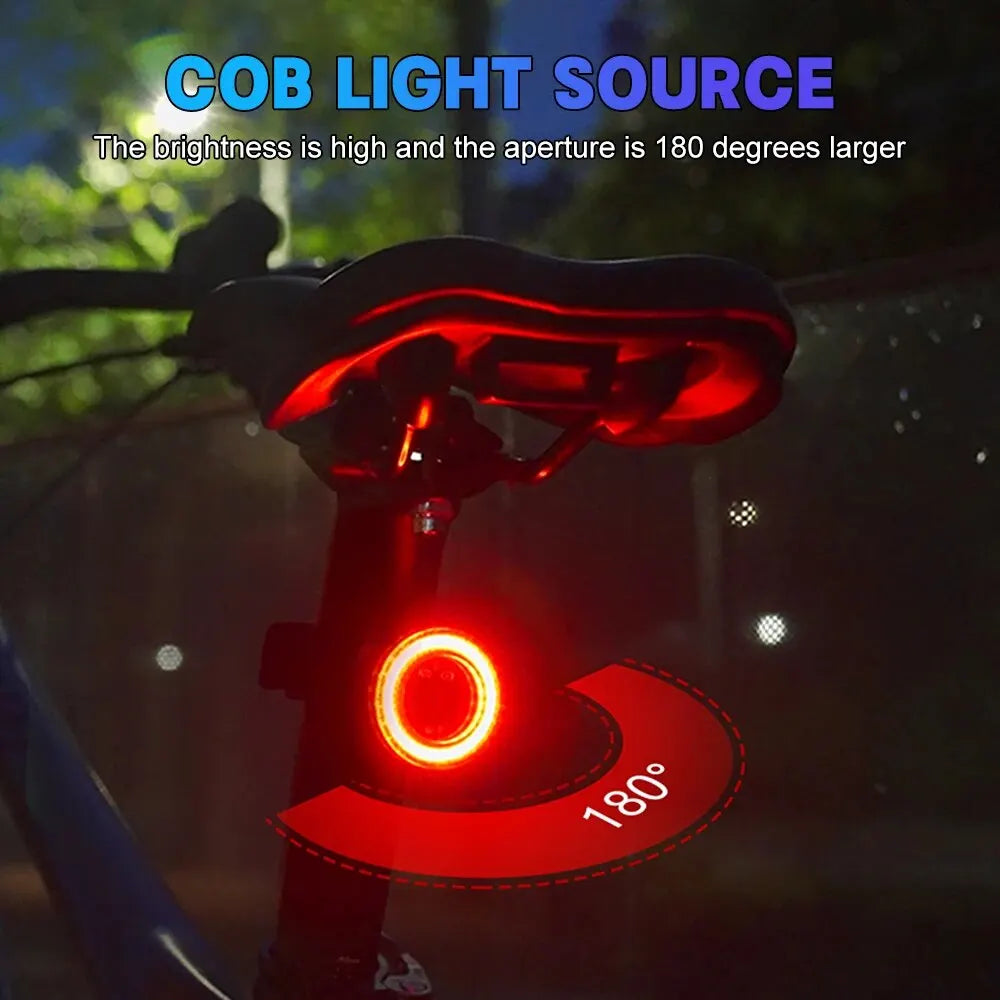 X-TIGER Smart Bicycle Tail Light Waterproof LED Sensor Brake Light Super Bright Cycling Safety Warning Light Oasis Select