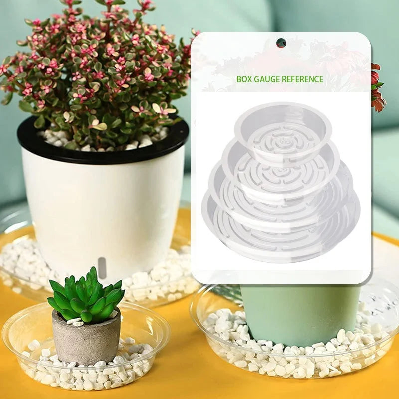 Flowerpot Base Transparent Horticultural Plant Pot Base Anti-Slip Circular Home Pot Tray Waterproof Indoor Outdoor Plant Saucer Oasis Select