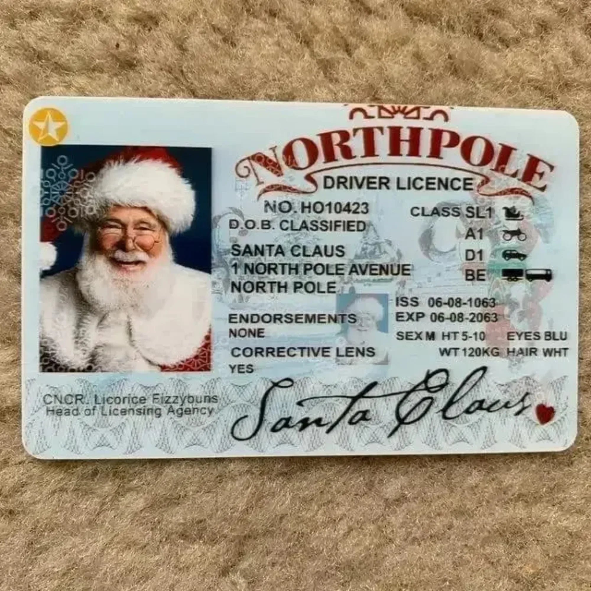 Card Santa Claus Flying Licence Christmas Eve Driving Licence Christmas Gift For Children Kids Chris Lost ID Card Santa License Oasis Select A