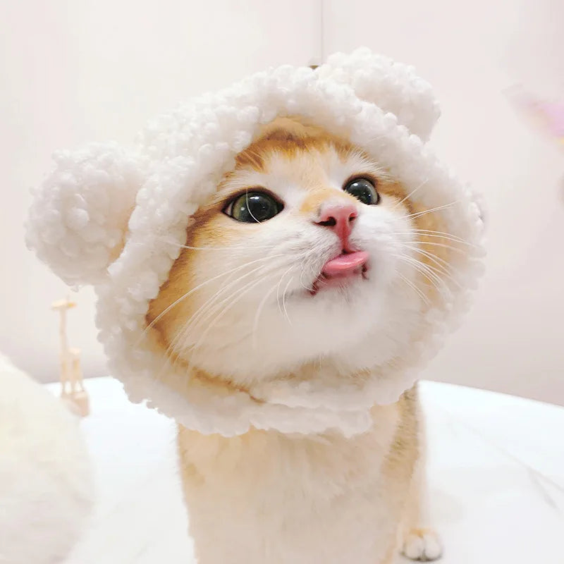 Internet Celebrity Pet Cat Lion Head Rabbit Ears Frog Bear Pet Hat Funny Headwear Oasis Select White bear S