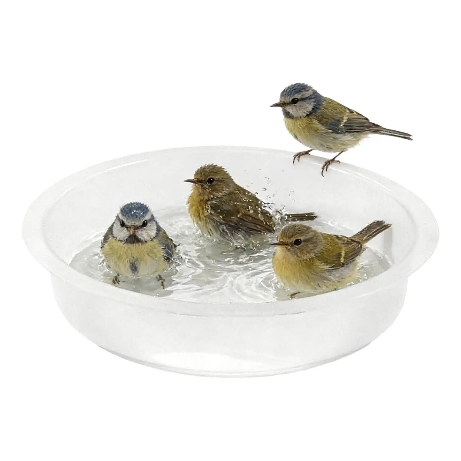 Round Treat Bowl Bird Feeder Tray Bird Feeding Tray Replacement for Sparrow Finch Lovebird Garden Park Courtyard Terrace Outdoor Oasis Select