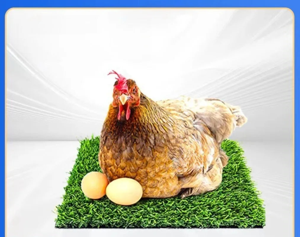 Chicken Nest Mat Artificial Turf, High-end Chicken Coop Mat for Catching Eggs Oasis Select