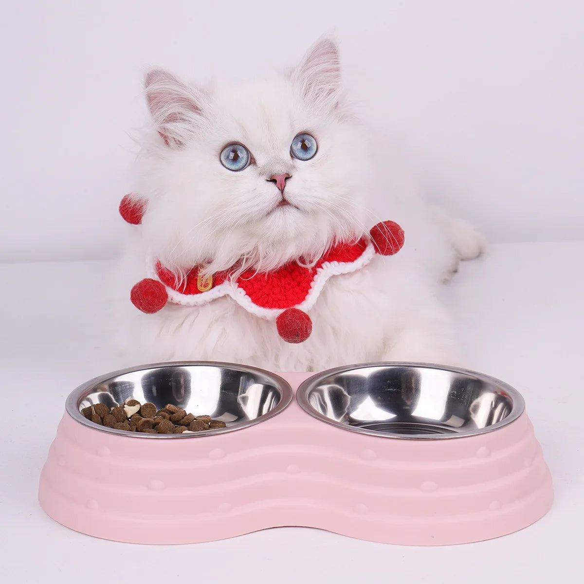 PP Material Pet Feeding Bowl Stainless Steel Large Capacity Dog and Cat Drinking Water and Eating Double Bowl Non-Slip Feeding Oasis Select