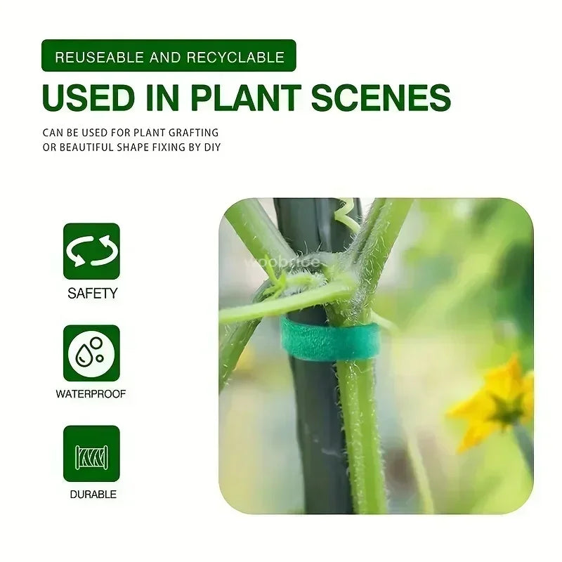 Self Adhesive Nylon Plant Ties Garden Twine Plant Bandage Hook Loop Vine Wrap Support Tape Garden Fastening Strips Cable Tie Oasis Select