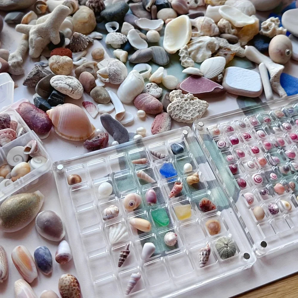 Clear Acrylic Magnetic Display Case 36-Grid Transparent Organizer for Seashells Starfish Jewelry Trinkets Jewelry Making Display Oasis Select