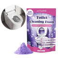 100g Toilet Bowl cleaning powder Bathroom Deodorization Deep Descaling Stain Remover For Toilet Bowl Cleaning Bathroom Supplies Oasis Select A