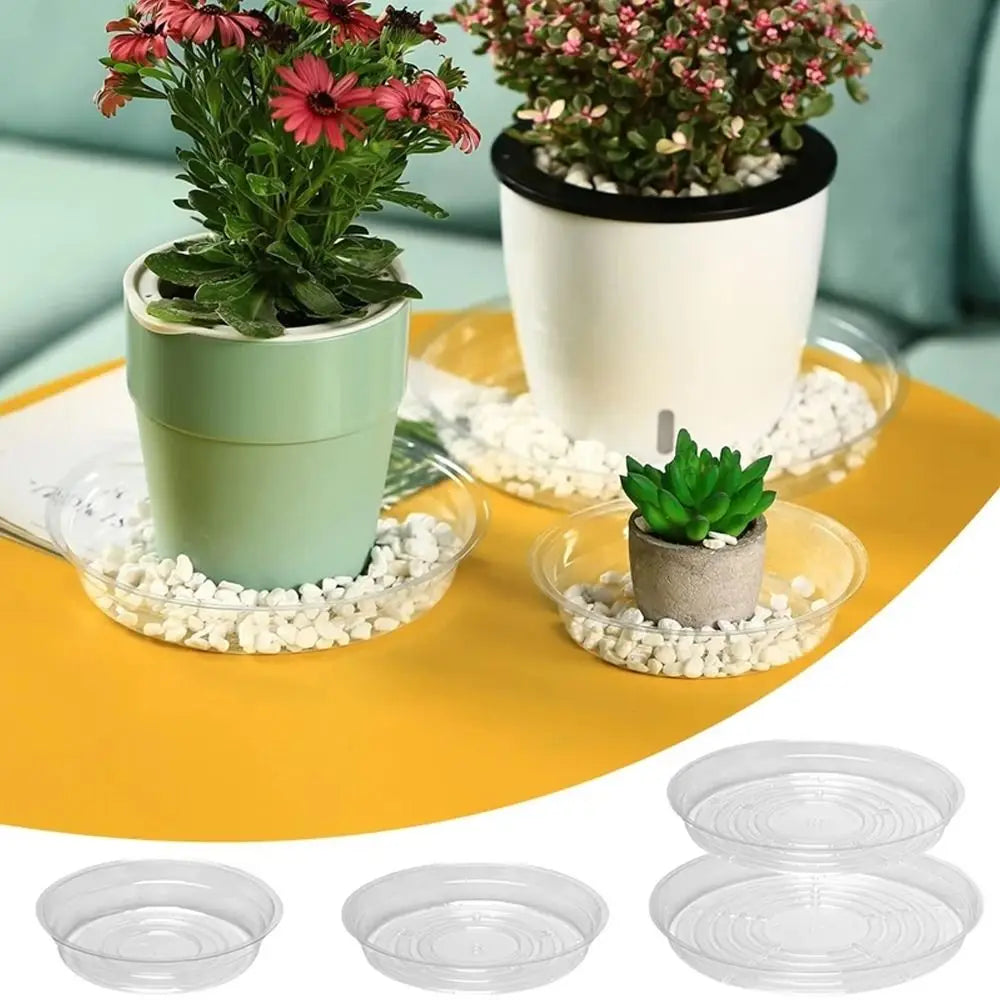 5-Pack Clear Plastic Flower Pot Drip Trays 6/8/10/12 Inch