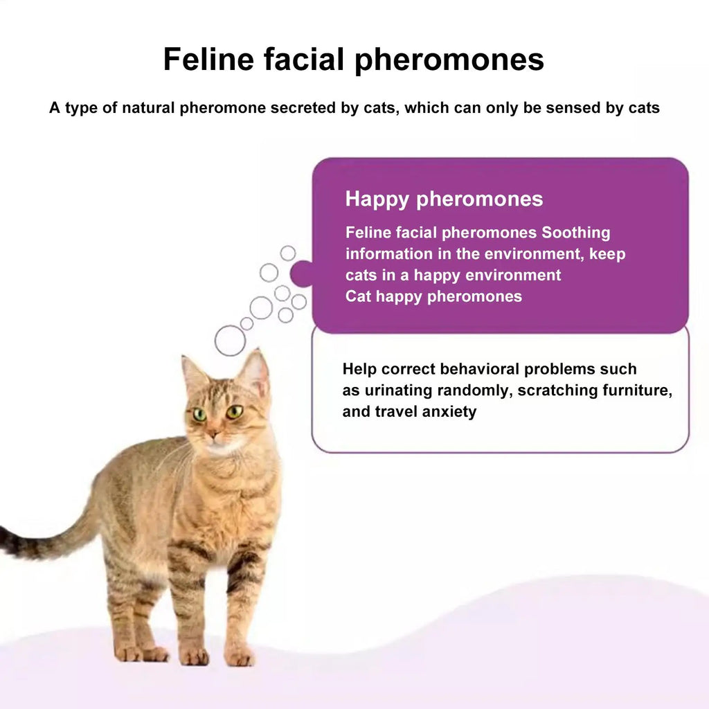 Cat Pheromone Diffuser Safe Cat Calming Diffuser Ease Stress Quiet Sleep Comfort Supplies Plug for House Travel Kitten Spraying Oasis Select