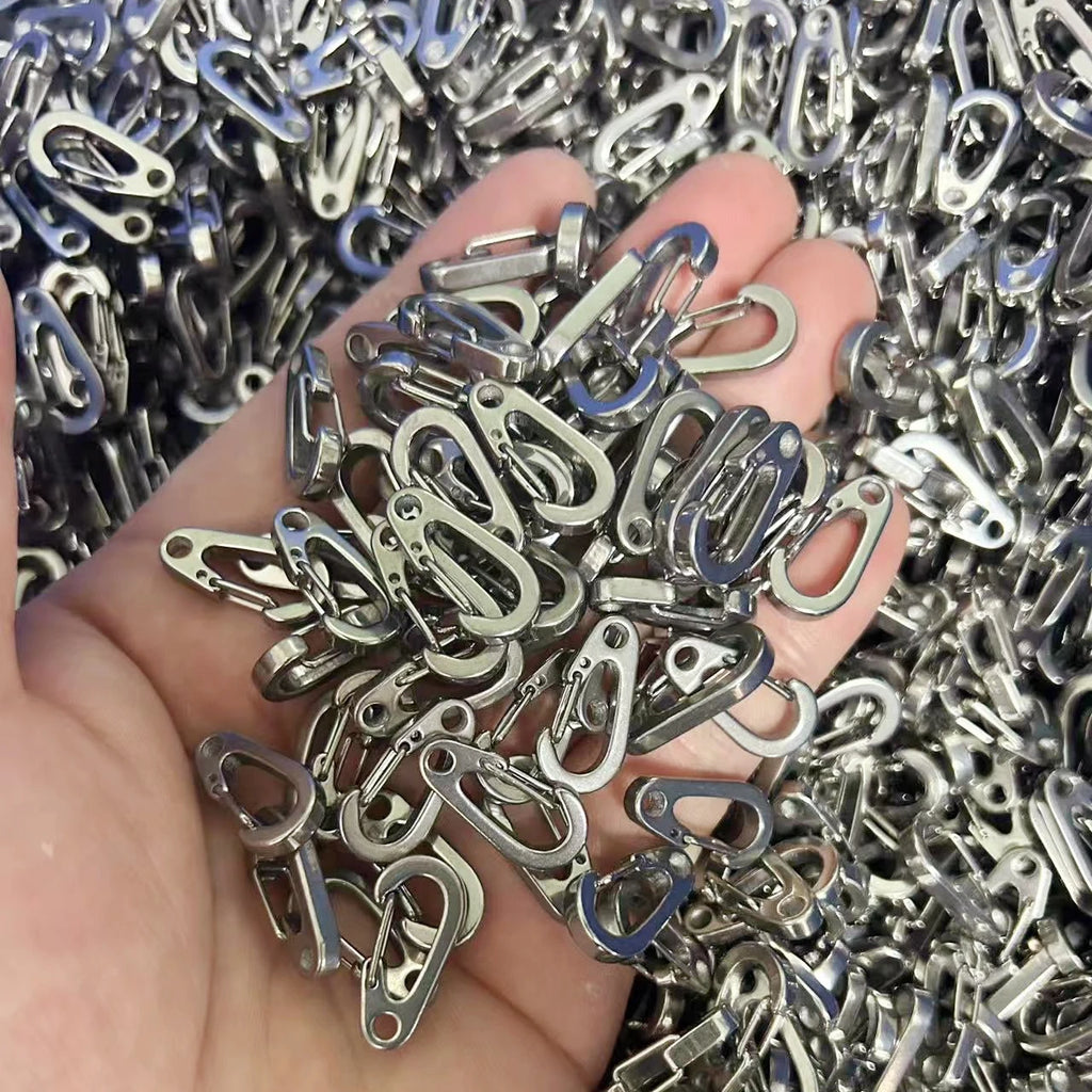 2pcs Stainless Steel Small Mini Carabiner Clip Spring Snap Hook Keychains for DIY Key Rings Camping Backpack Jewelry Accessory Oasis Select