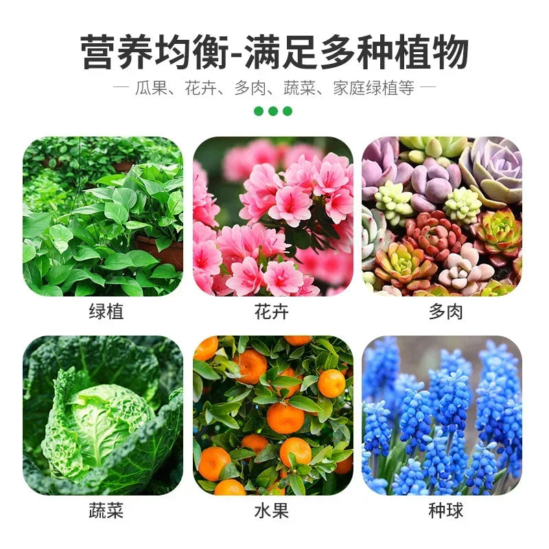 Flower Fertiliser Special Bone Powder Organic Odourless Universal Pour Une Large Gamme De Plantes Pour Favoriser La Nutrition Oasis Select