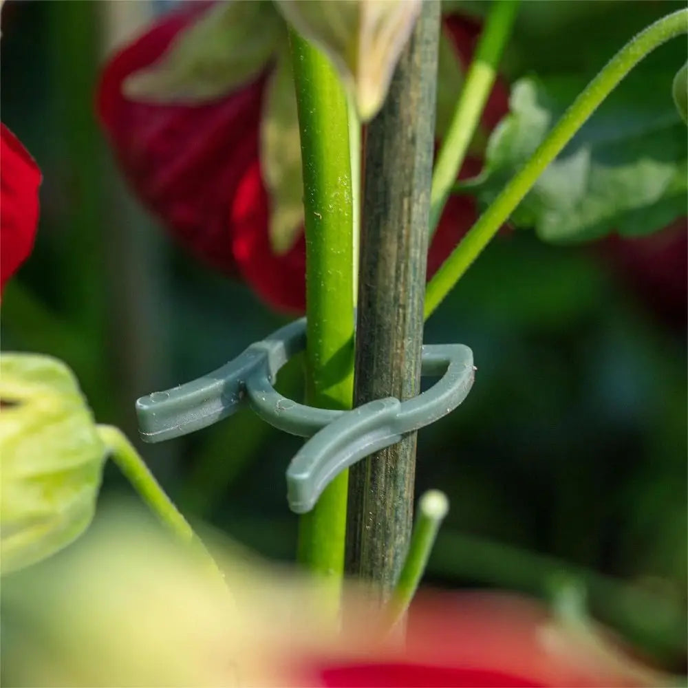 100pcs Plastic Plant Garden Clips Efficient Double Planting Support Grippers Reusable Convenient Lever Loop Clamp Oasis Select