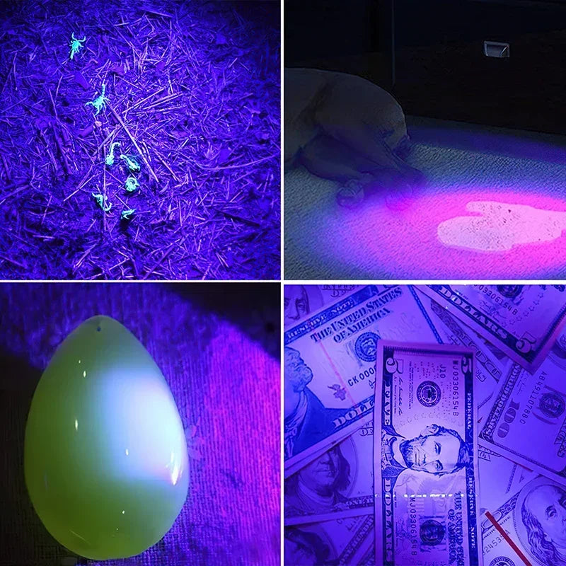 UV LED Flashlight Portable Blacklight 395nm Wavelength Violet Light Pet Urine Scorpion Feminine Hygiene Detector Torch Oasis Select