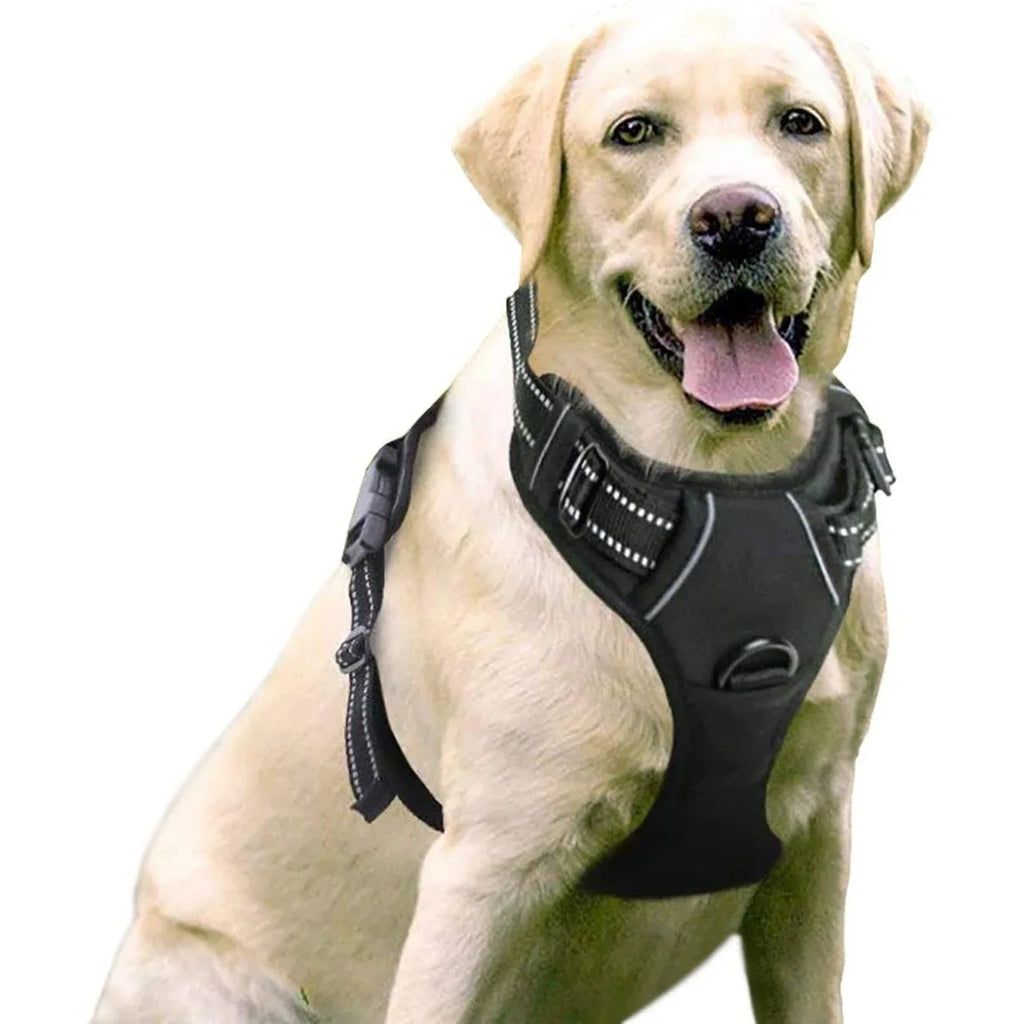 Reflective Shoulder Straps, Large and Medium-sized Dog Chest Straps, Vest Dog Leash Pet Supplies Oasis Select
