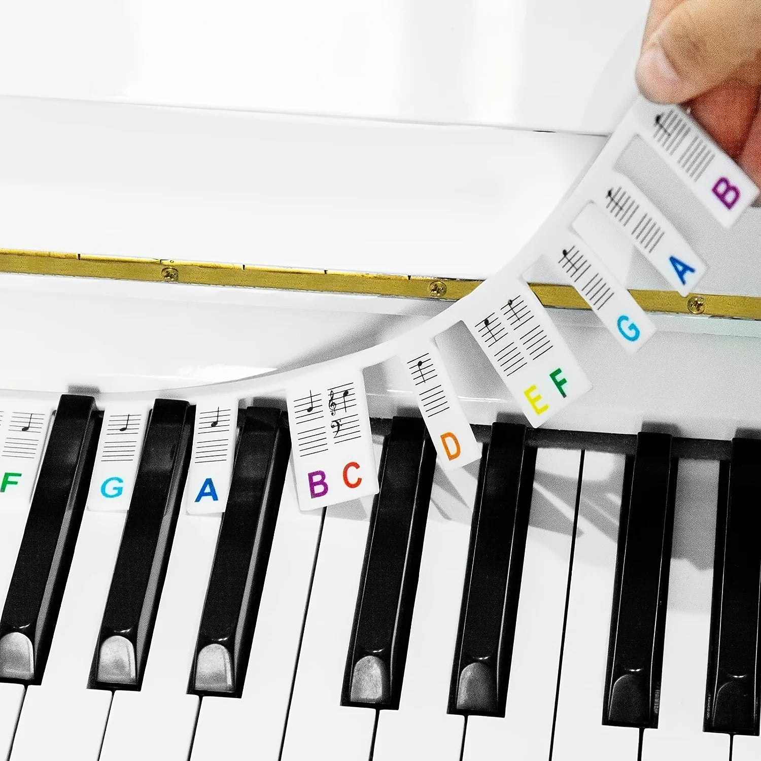 Piano Keyboard Note Labels Removable -88Key Full Size Silicone Piano Key Stickers Guide for Beginners Reusable Comes Oasis Select color